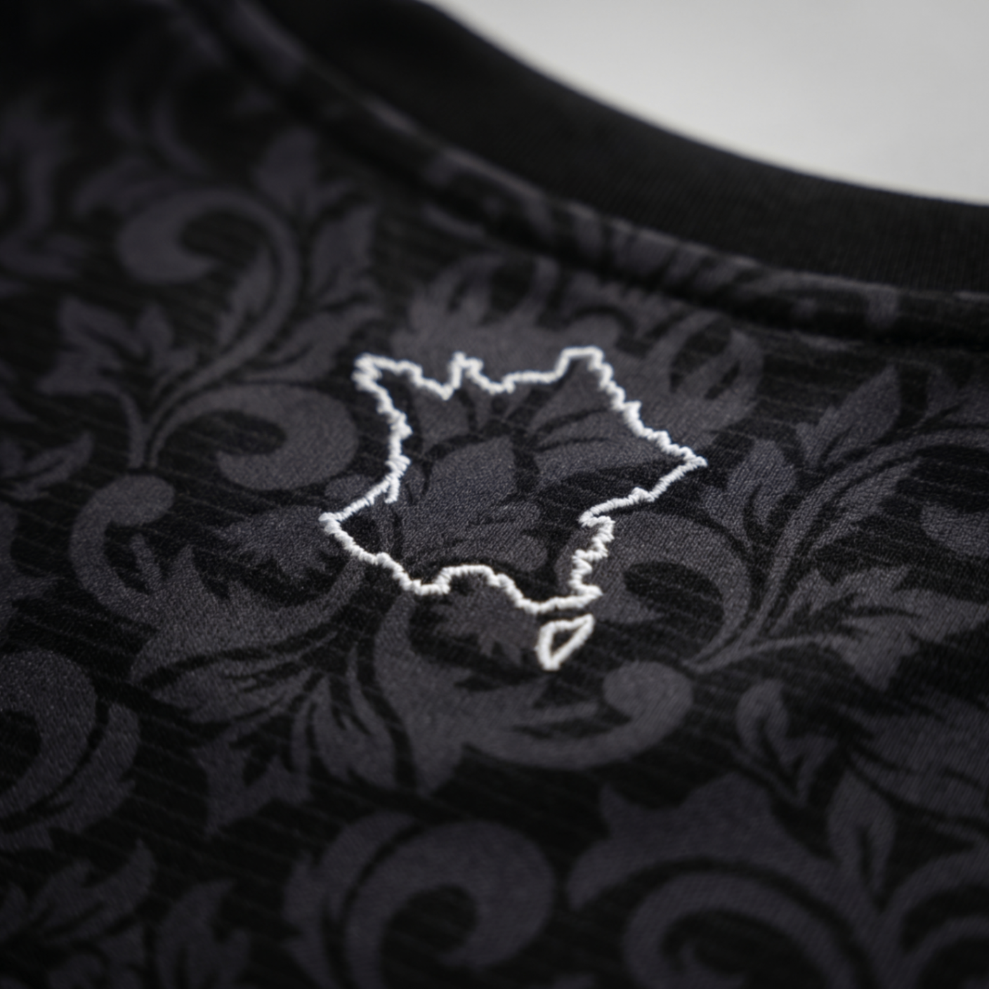 Détail broderie carte de France